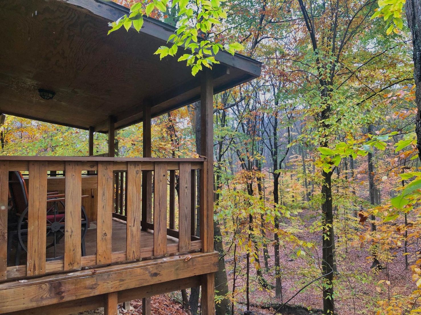 Autumn colour seen from a cabin deck at Bear Run