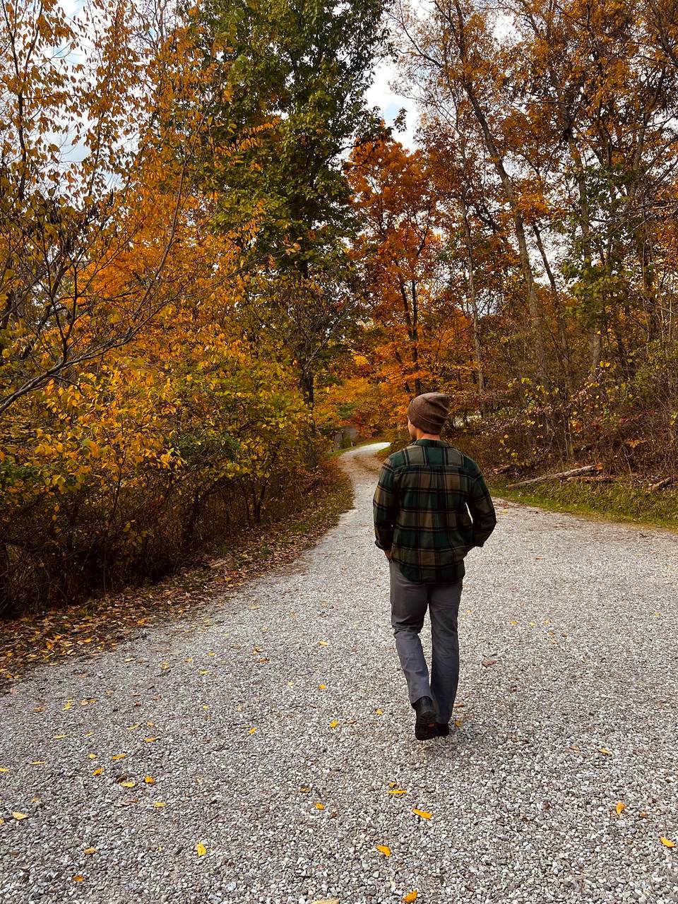 A walk down the drive at Bear Run on an autumn afternoon