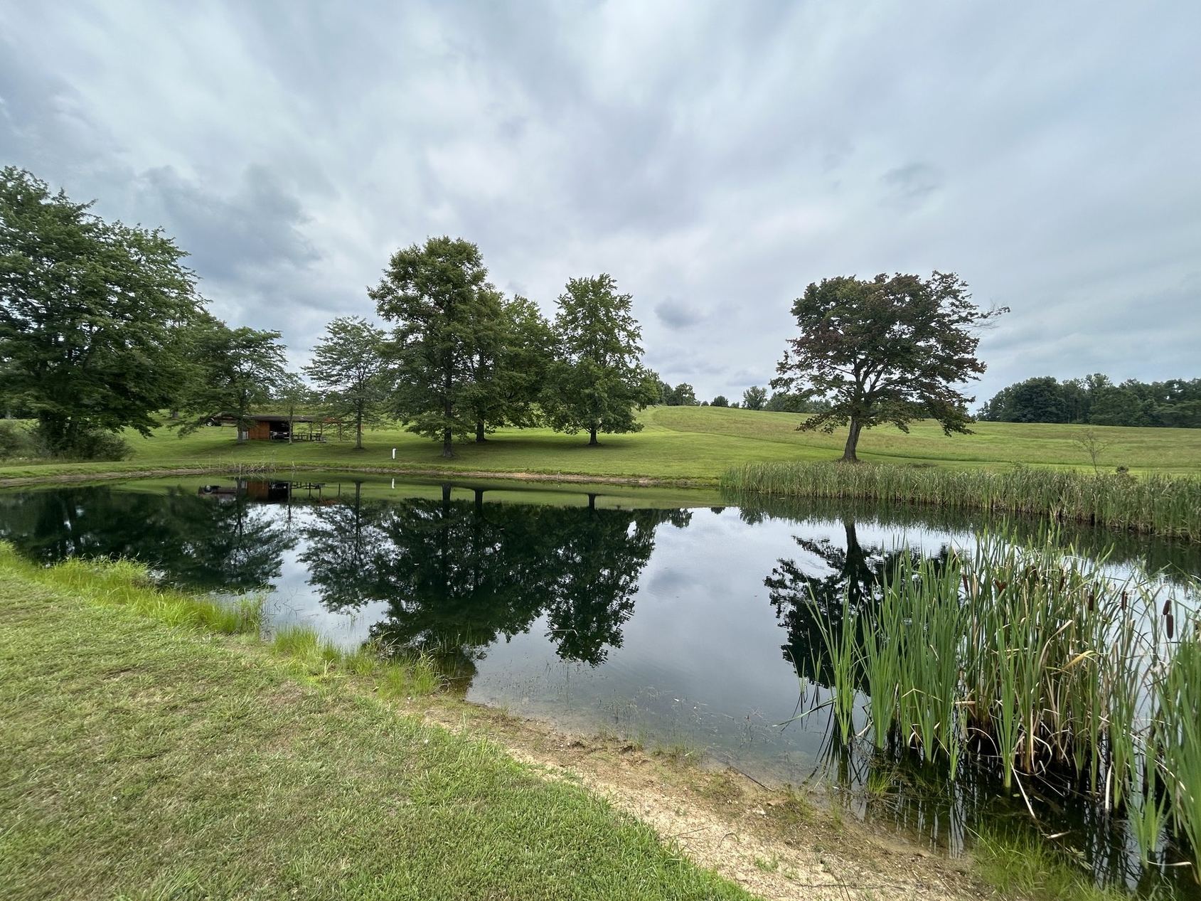 One of Bear Run's two stocked fishing ponds, still enough to mirror the trees