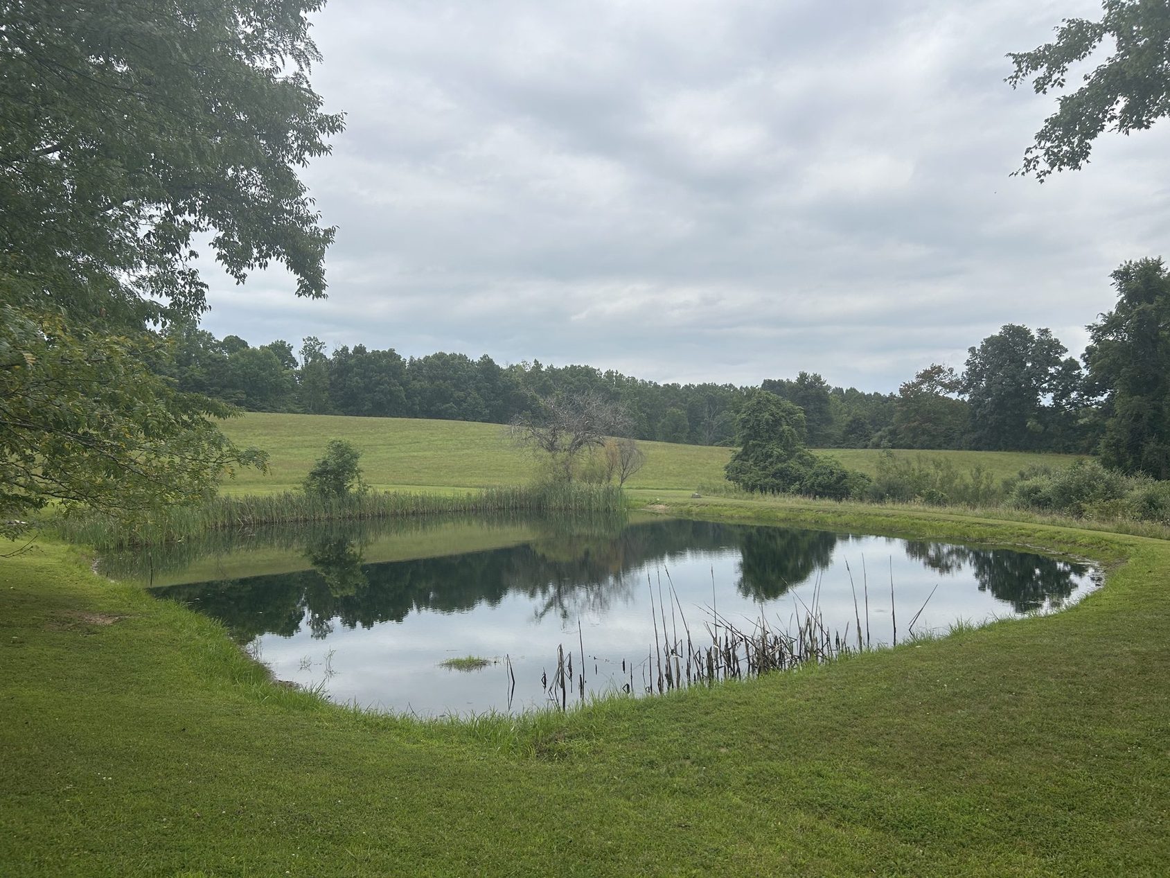 The second stocked pond at Bear Run, ringed by mown grass and open pasture