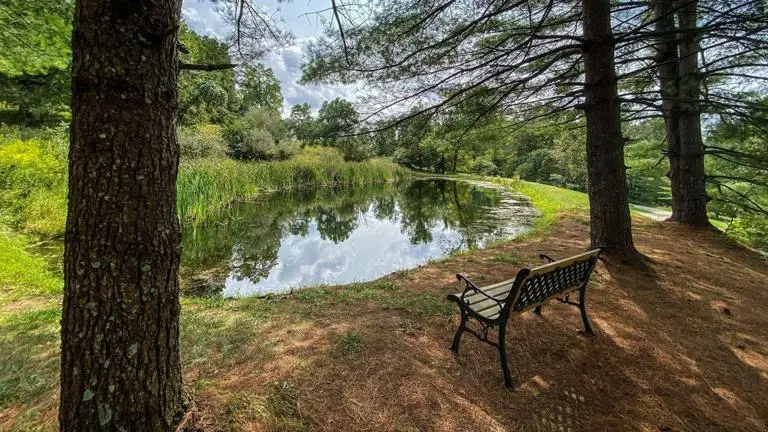 Bear Run Cabin Property Features