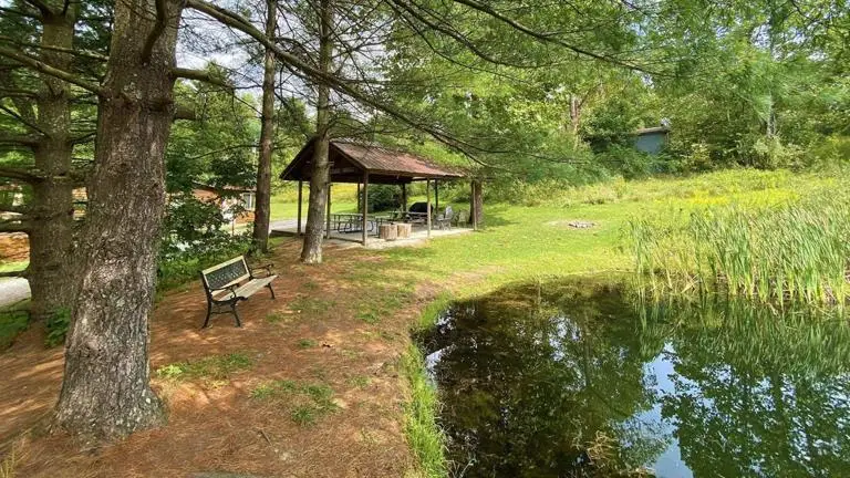 Bear Run Cabin Property Features