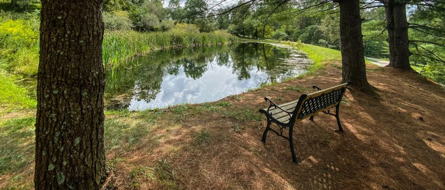 Bear Run Cabins Pond 2021